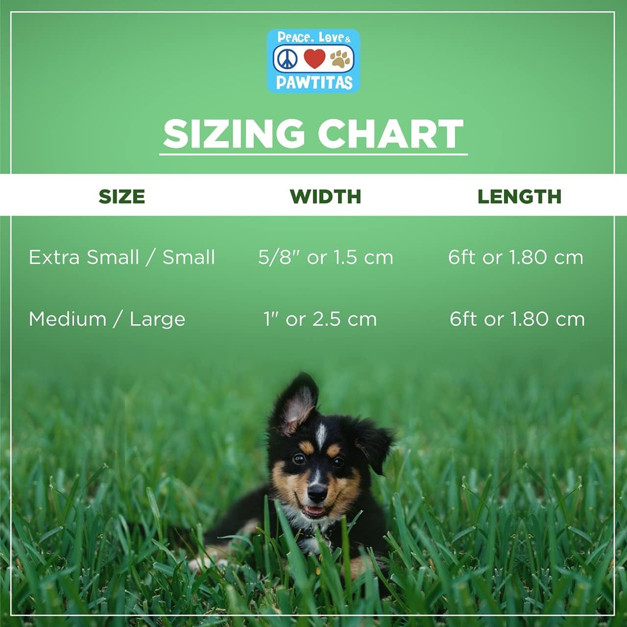 Black Dog Leash 6 Ft XS/S Reflective Durable Lightweight Dog Lead for Small Dogs and Puppies