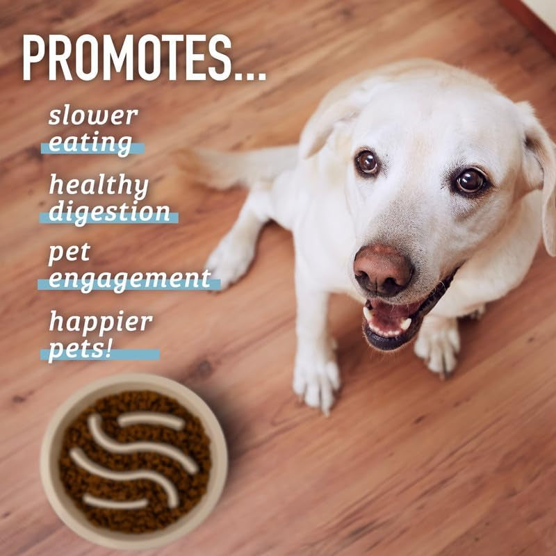 Slow Feeder Dog Bowls - Nonslip Slow Feeder Insert, Healthy Eating Dog Food Bowl, Includes Puppy Essentials Placemat & Star Mold, 2 Cup, Gray