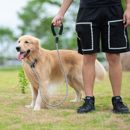 Durable Slip Lead Dog Leash with Padded Handle and Highly Reflective Threads, No Pull Dog Training Leash, (1/2" X 6 FT, Grey)